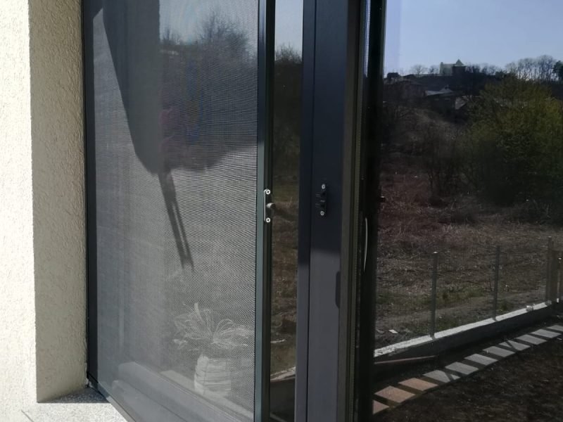 Plase-insecte-fixe-rulou-si-balamale-11